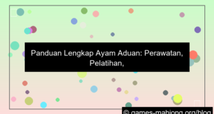ayam aduan