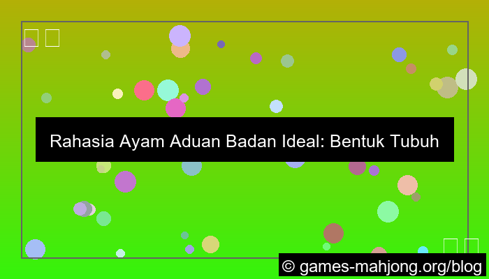 gambar ayam aduan badan ideal
