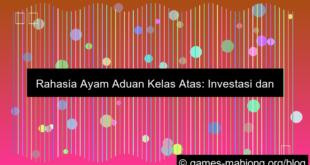 ayam aduan kelas atas