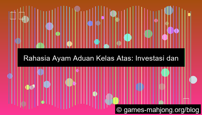 ayam aduan kelas atas