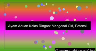 ayam aduan kelas ringan