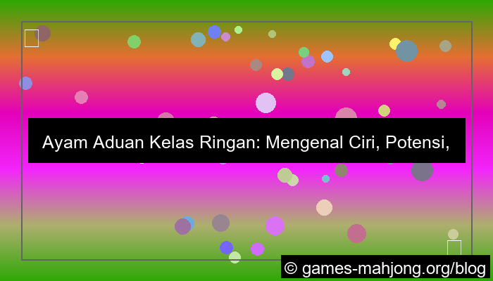 ayam aduan kelas ringan