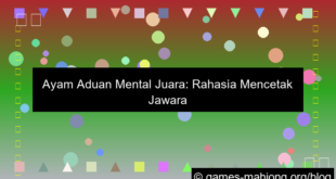 ayam aduan mental juara