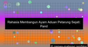 ayam aduan petarung sejati