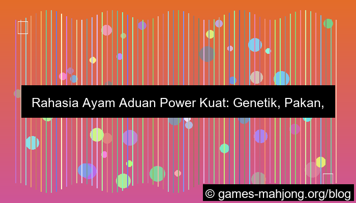 ayam aduan power kuat