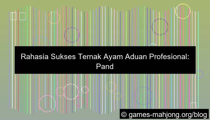 ayam aduan profesional