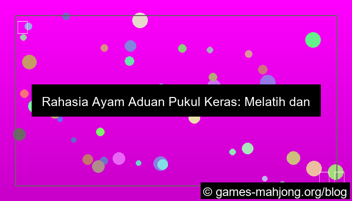 ilustrasi ayam aduan pukul keras