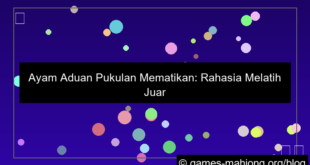 ayam aduan pukulan mematikan