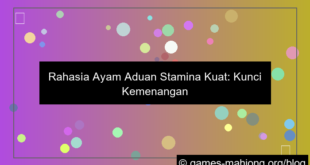 ilustrasi ayam aduan stamina kuat