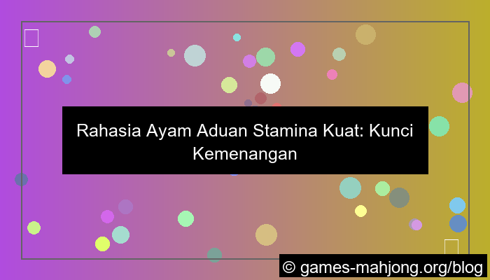 ilustrasi ayam aduan stamina kuat