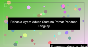 visual ayam aduan stamina prima