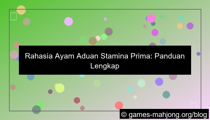 visual ayam aduan stamina prima