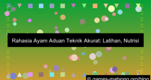 ayam aduan teknik akurat