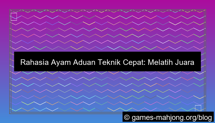 gambar ayam aduan teknik cepat