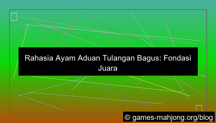 ilustrasi ayam aduan tulangan bagus