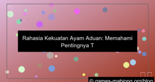 ayam aduan tulangan rapat