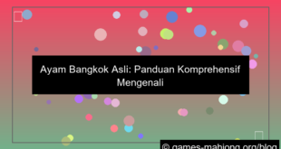 gambar ayam bangkok asli