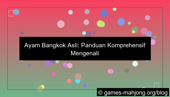 gambar ayam bangkok asli