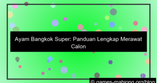 grafik ayam bangkok super