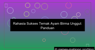 visual ayam birma unggul