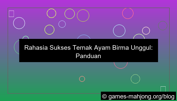 visual ayam birma unggul