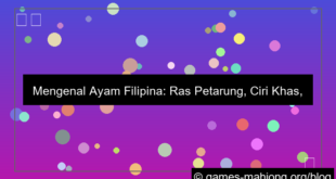 ayam filipina