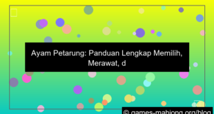 grafik ayam petarung