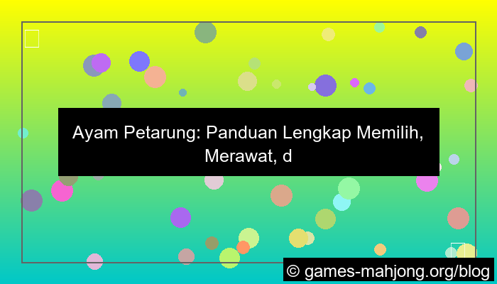 grafik ayam petarung