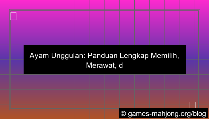 gambar ayam unggulan