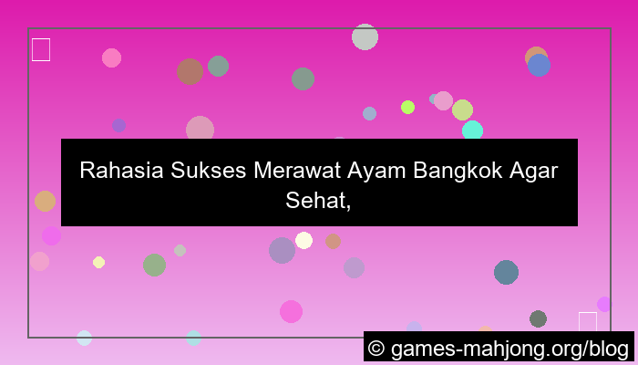 cara merawat ayam bangkok