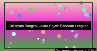 ciri ayam bangkok juara