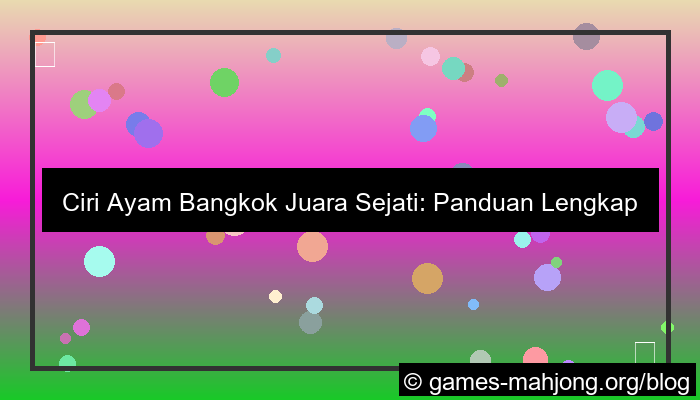 ciri ayam bangkok juara