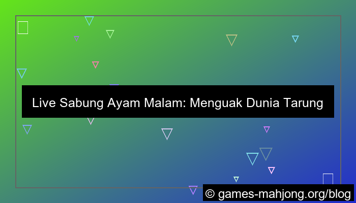 live sabung ayam malam