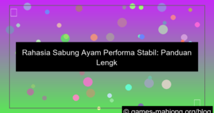 sabung ayam performa stabil