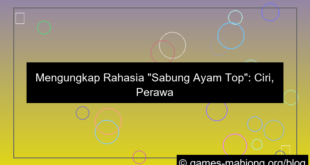 ilustrasi sabung ayam top