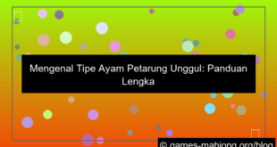 tipe ayam petarung