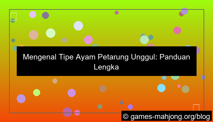 tipe ayam petarung