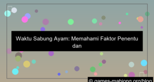 waktu sabung ayam