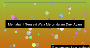 wala meron duel ayam bangkok