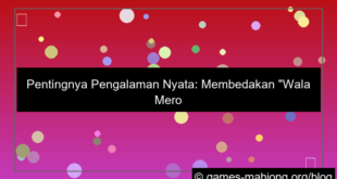 visual wala meron pengalaman real