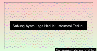 sabung ayam laga hari ini