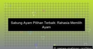sabung ayam pilihan terbaik