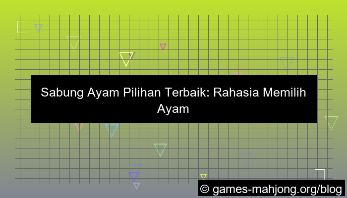 sabung ayam pilihan terbaik